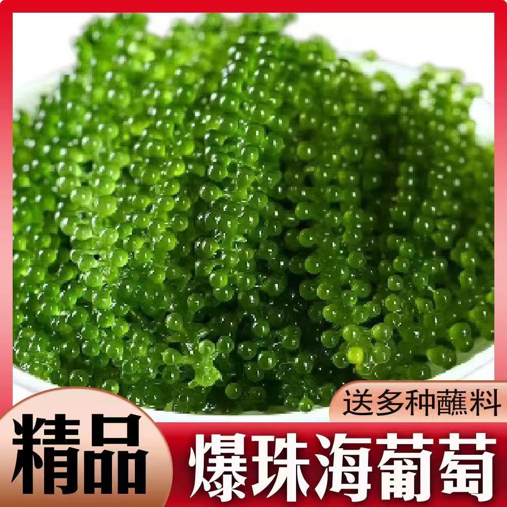 小海故事儿童即食海葡萄
