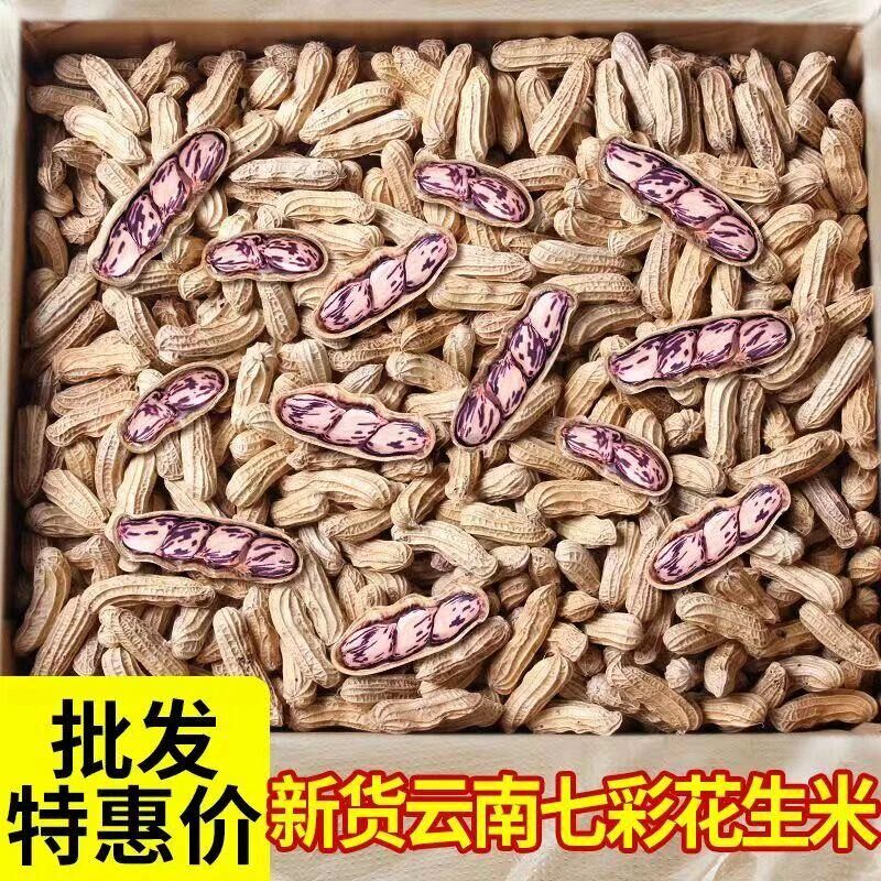 七彩花生米当季新货云南特产七彩花生带壳晒干炒熟五彩牛奶生花生