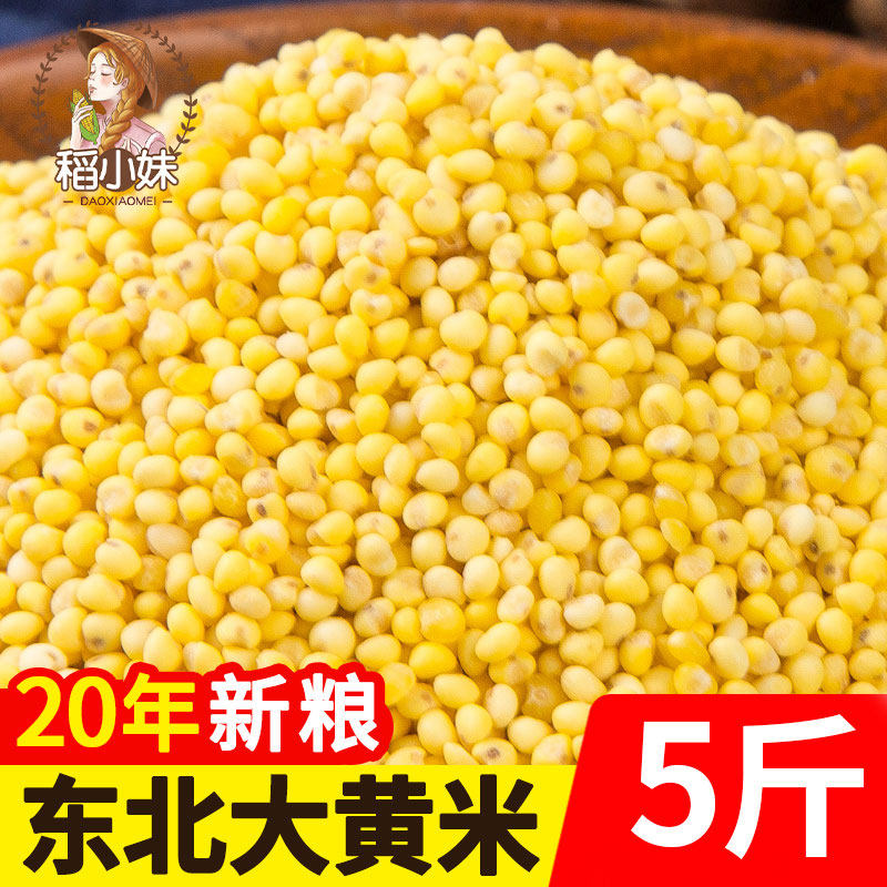 稻小妹东北大黄米5斤 农家新米糯小米包粽子小米粥黏粘黄米黍子米|msdalam kategori beras/Utara-Selatan barangan kering/perasa, meter/tepung/bijirin, RICE, Millet - dari Buy2taobao.com untuk memberikan perkhidmatan ejen Taobao profesional membeli