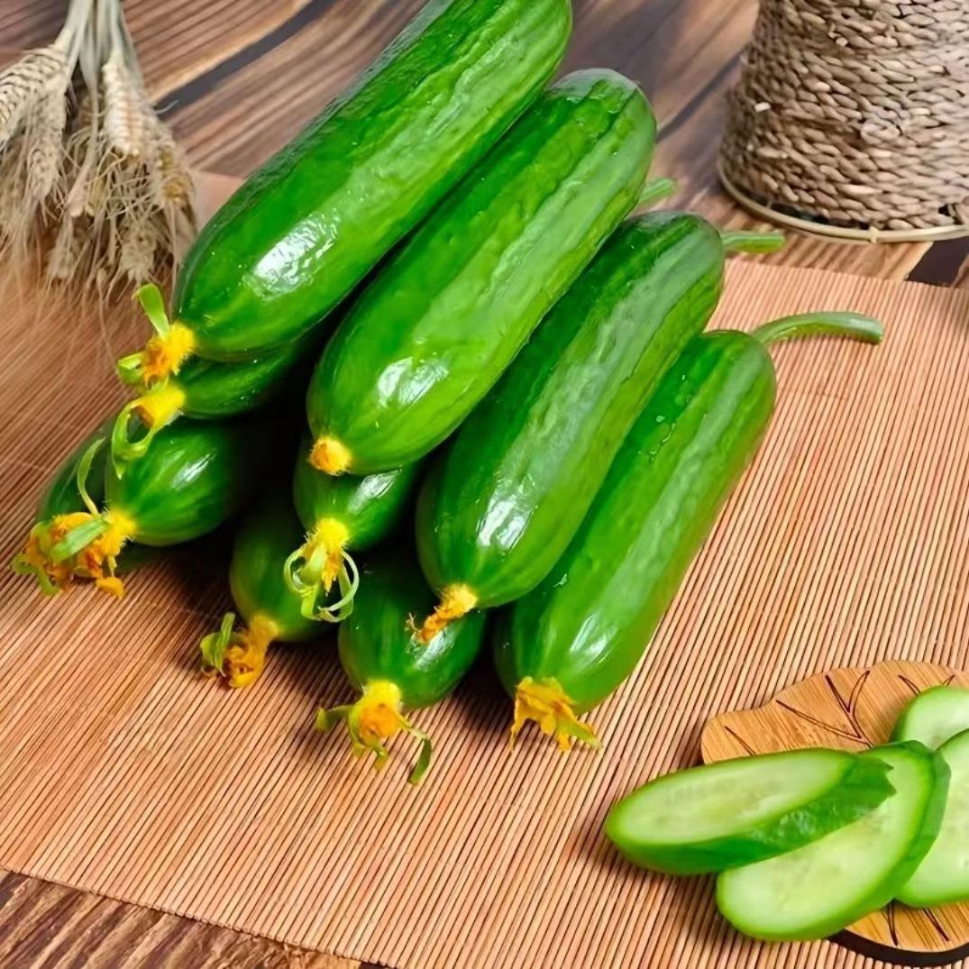 水果黄瓜新鲜荷兰水果黄瓜无刺小青瓜生吃脆甜蔬菜水果
