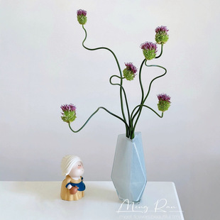 顺丰冷链精选进口弯葱小众稀有花材高级感插花云南昆明