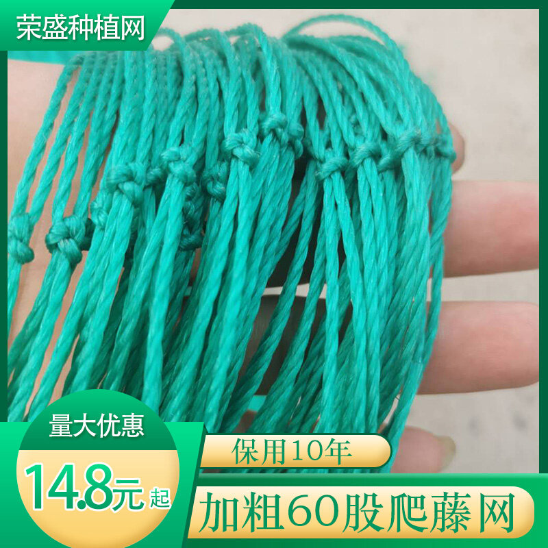 爬藤网攀爬网百香果专用网瓜蒌种植网农用黄瓜架网果蔬攀爬植物网