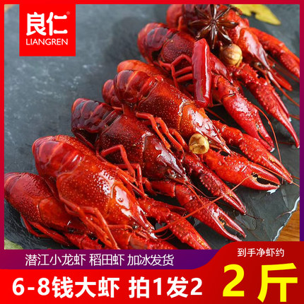 芭芭 良仁潜江麻辣小龙虾十三香6-8钱油焖大虾加热即食750g*2盒