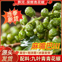 青花椒顆粒飽滿粒粒挑選真空包裝
