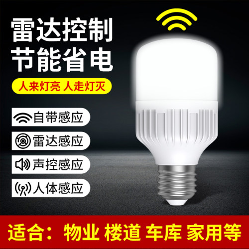 人体感应灯声光控智能家用过道灯