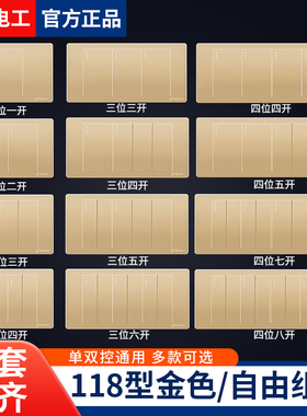 国际电工118型开关面板一二三四开单双控暗装墙壁四联4开金色面板