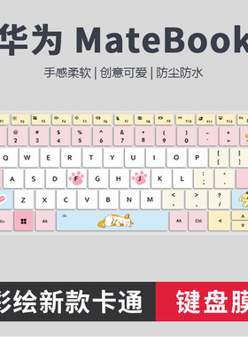 适用华为MateBookD16键盘膜SE版按键保护膜RLEFG-16硅胶16寸彩绘