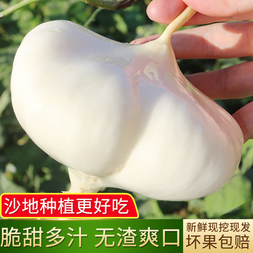 湖北悠果友新鲜凉薯地瓜现挖现发
