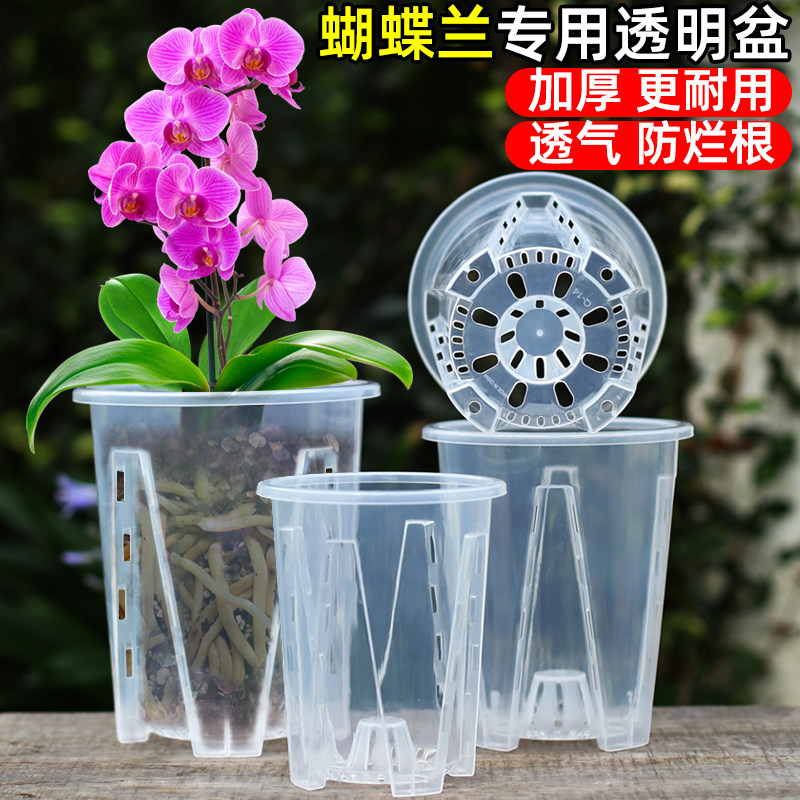 水苔蝴蝶兰专用花盆透明青山控根盆加厚大号透气兰花塑料花盆家用