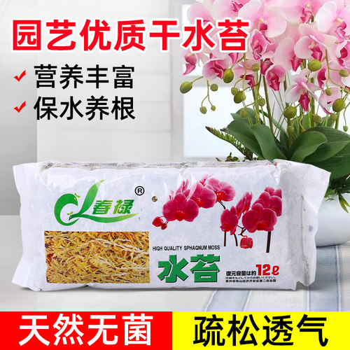 蝴蝶兰干水苔兰科专用营养土
