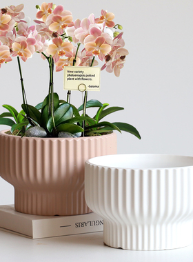 花盆陶瓷特大亚光新款竖纹高脚阳台客厅摆件绿植绿萝蝴蝶兰花盆栽