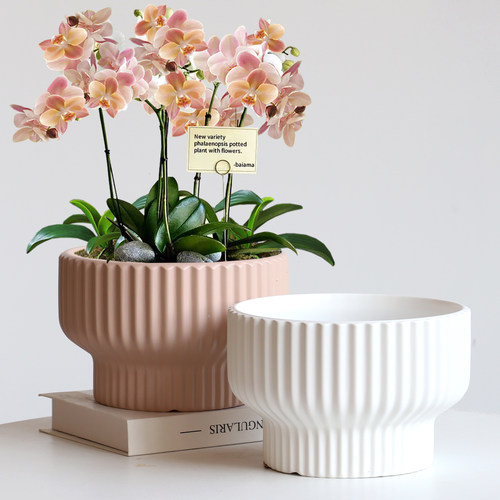 蝴蝶兰北欧新款陶瓷花盆