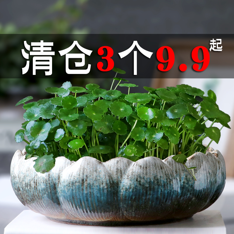 铜钱草花盆水仙花睡莲碗莲无孔家用陶瓷特价清仓水养水培多肉大号