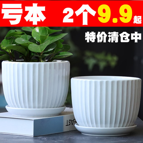 白色陶瓷特价个性吊兰清仓绿萝盆