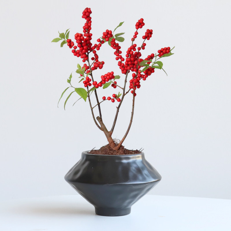 中式陶瓷花盆带托盘复古诧寂风陶罐蝴蝶兰冬青盆客厅花器干花插花,鲜花速递/花卉仿真/绿植园艺,花盆,淘宝优惠券,粉丝福利购,淘宝优惠卷