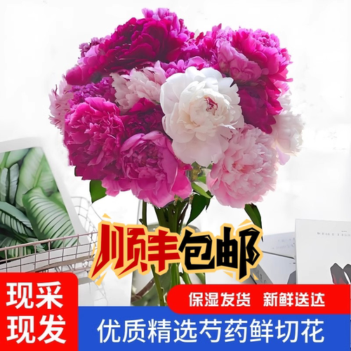 芍药鲜花来袭！！！价格低破底线