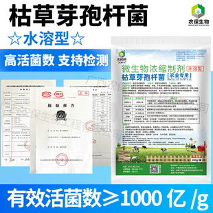水溶型 微生物菌剂枯草芽孢杆菌改良土壤减少作物烂根根腐等