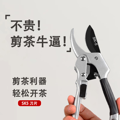 SK5钢茶剪不锈钢碎茶开茶