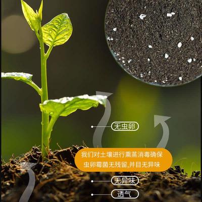 营养土养花通用型种菜专用有机土盆栽多肉绿植家用果树花卉土