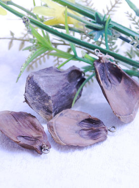 天然果实花瓣吊坠树皮干