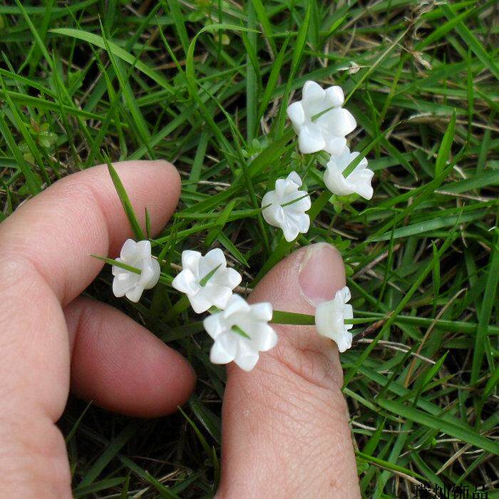 爆款天然优质白蝶贝喇叭花单面雕刻 DIY饰品花托发簪耳饰贝壳配件
