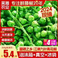 重慶江津九葉真空保鮮青花椒350g