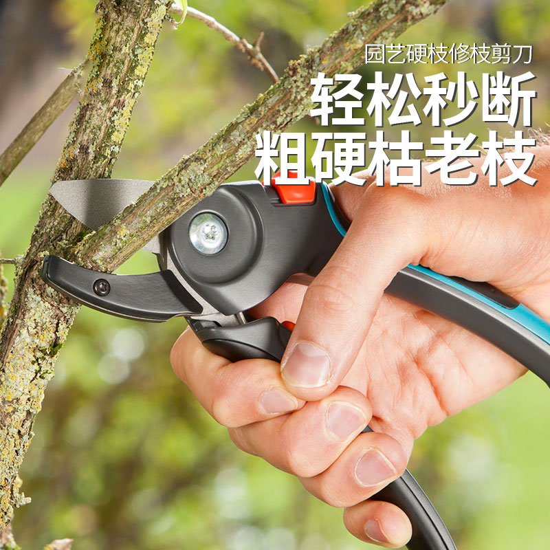 粗枝园艺剪刀修枝剪树枝剪刀剪子果树摘菜茶叶水果花剪园林_虎窝淘