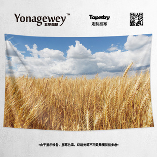 农田农村田野户外唯美自然风景写真海报摄影自拍装 饰背景墙布挂布