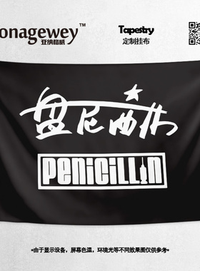 Penicillin盘尼西林乐队粉丝现场应援定制周边旗帜海报背景布挂布