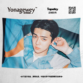 EXO吴世勋偶像明星应援同款 周边写真墙布装 饰画背景海报挂毯挂布