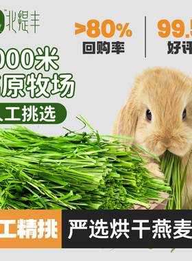 北提丰黄金燕麦草草段兔干草兔子龙猫荷兰猪烘干兔草饲料磨牙