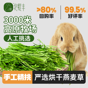 北提丰黄金燕麦草草段兔干草兔子龙猫荷兰猪烘干兔草饲料磨牙