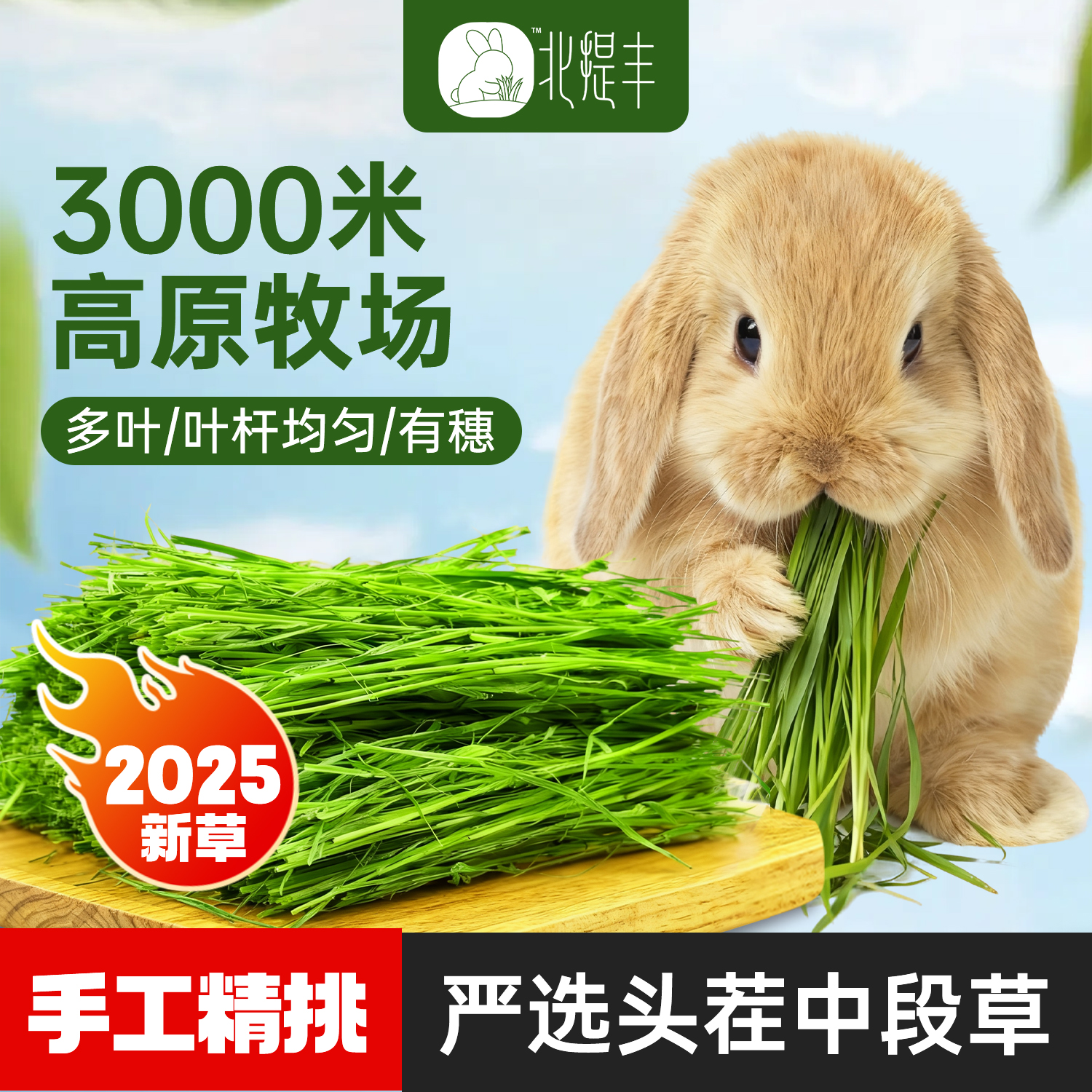 荷兰猪干草宠物粮食提摩西草兔草