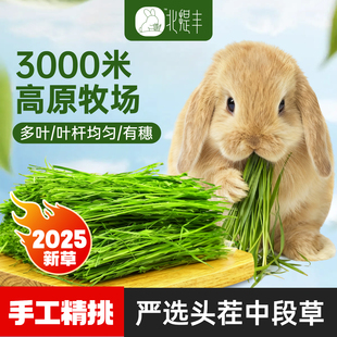 25年烘干提摩西草段 荷兰猪龙猫豚鼠等食草宠物兔粮干草北提 兔草