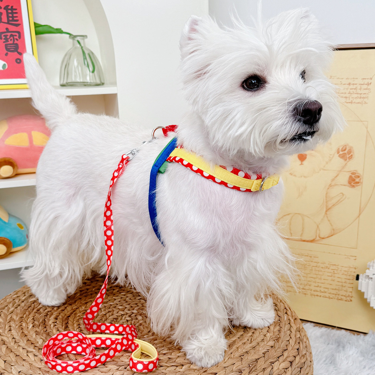 狗狗防爆冲不束缚轻量化胸背带