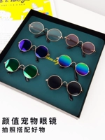 Кошка и собака в очках, Интернет-фото знаменитостей, забавный декоративный реквизит