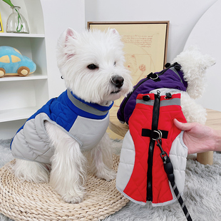 狗狗衣服秋冬可牵引绳猫咪保暖小狗冬天幼犬秋季泰迪柴犬比熊背心