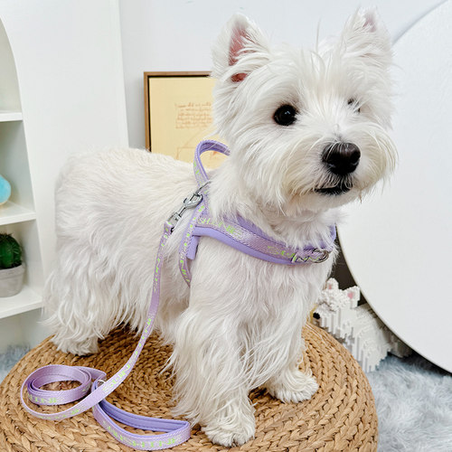 遛狗牵引胸背带不勒脖减震轻量化