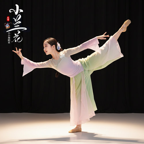 新款儿童古典舞服装中国风绝美纱衣练功服演出服女少儿立春舞蹈服