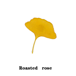 Roasted 高端设计感精致高档别针 rose手工精美银杏叶胸针饰品时尚