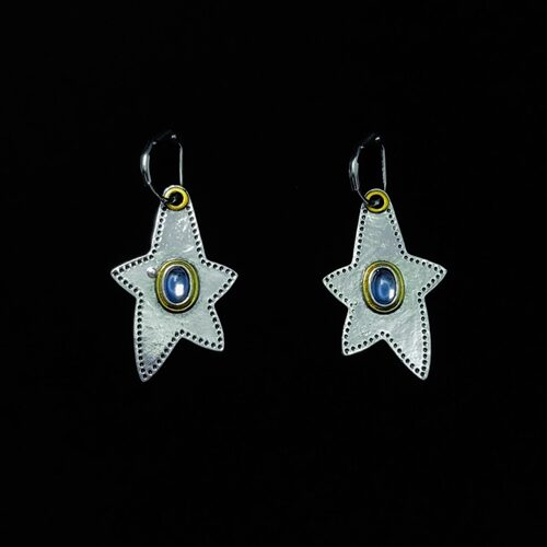 Vintage古着 Titanium steel starfish耳饰