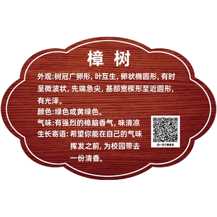 树牌挂牌植物标签挂牌大树品种名字介绍简介公园景区绿化带植物信息铭牌定制亚克力花草树木介绍吊牌标识牌