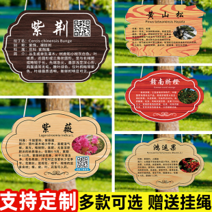 亚克力树牌挂牌定制植物绿植吊牌树木标签标识介绍牌树名植物认领牌认养牌果园公园园林果树绿化花草牌树铭牌