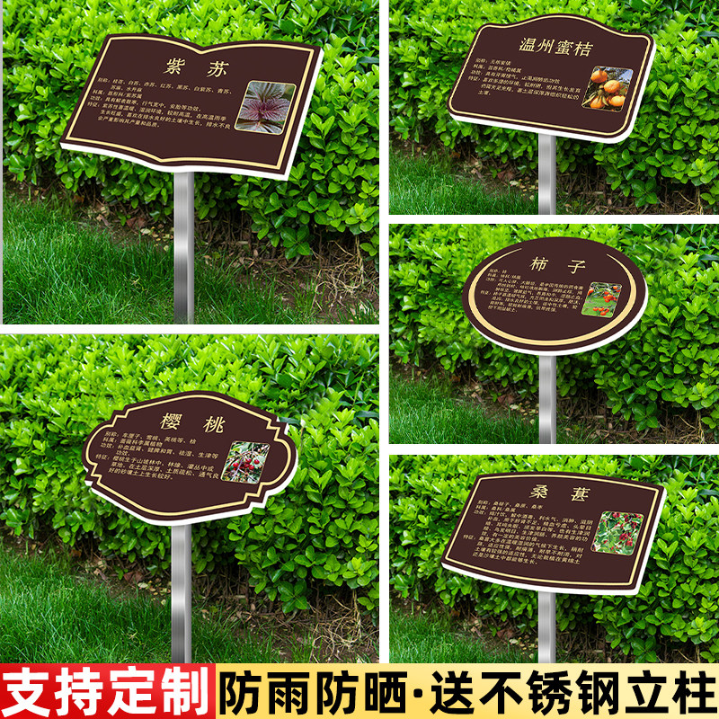 花草牌亚克力树牌插地牌学校公园树木信息标识牌定制爱护花草禁止采摘