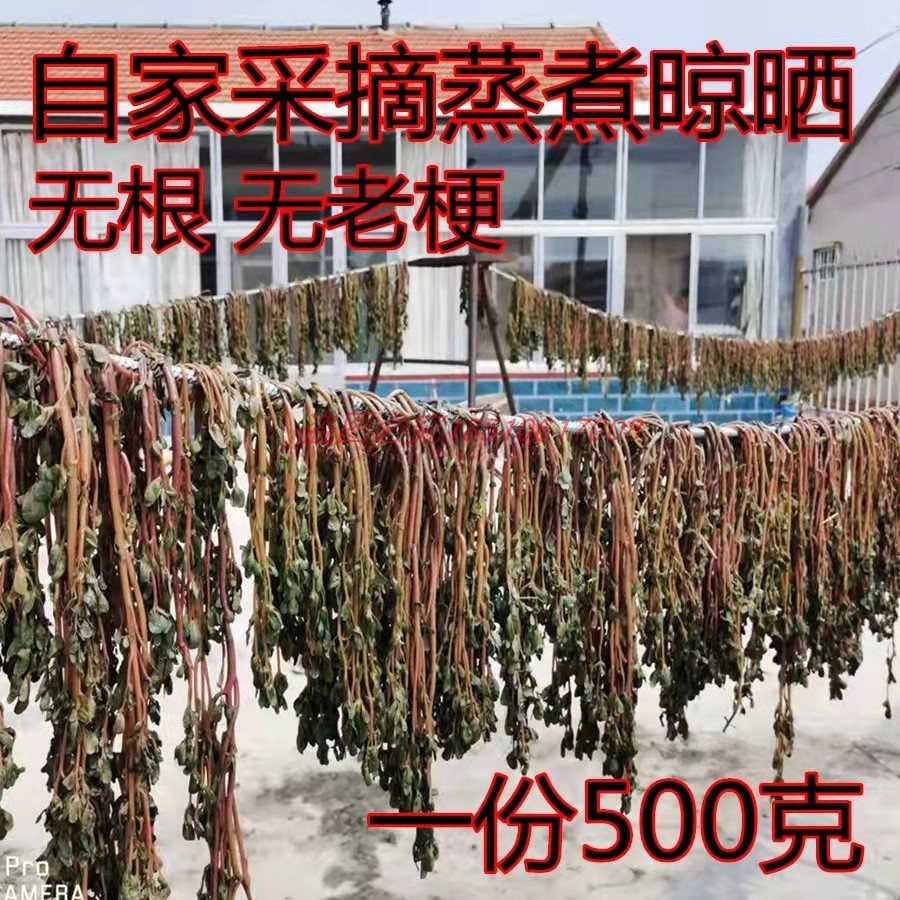 2025新鲜马齿苋干菜马蚱菜包子饺子馅山东农户自采纯野生自然晾晒