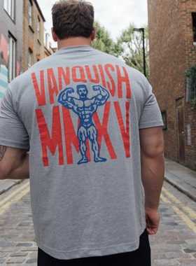 换季清仓特英国VANQUISH MMXV VQ运动休闲宽松弹性棉圆领短袖F1