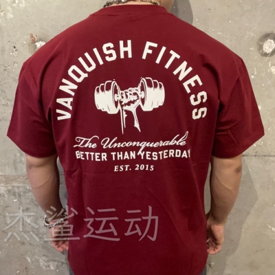 英国VANQUISH新款男女运动健身休闲VQ哑铃字母圆领弹性宽松短袖