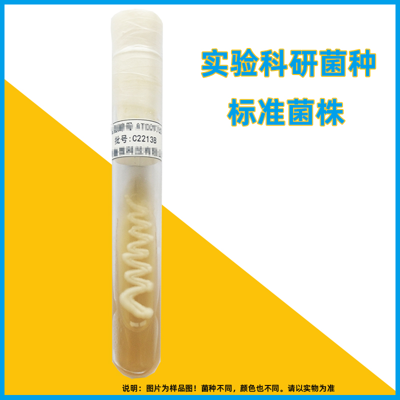 二代斜面菌种定制ATCC菌株CMCC实验检测冻干粉微生物质控标准菌株 工业油品/胶粘/化学/实验室用品 试剂 原图主图