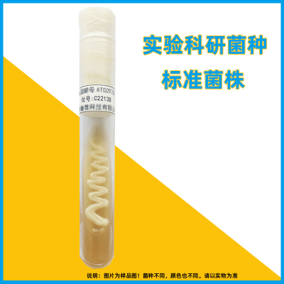 微生物菌种定制 二代斜面菌株 甘油 干粉CMCC药典ATCC 质控检验