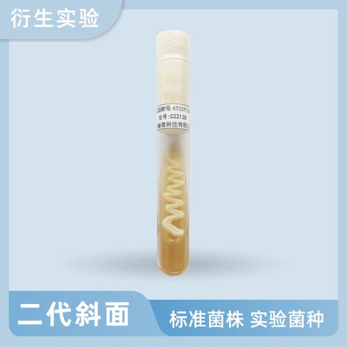 微生物实验菌种定制 二代斜面菌株CMCC ATCC标准菌培养基学校科研
